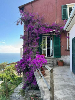 Amazing flat at the heart of 5 Terre National Park